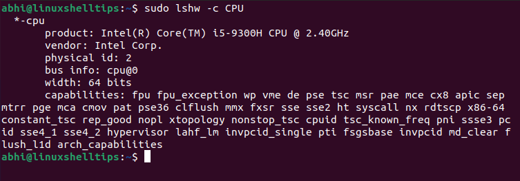 Print CPU Hardware Info in Linux
