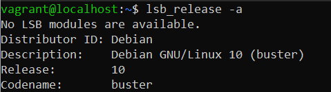 Check Debian System Info