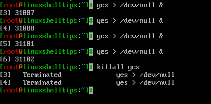 Kill Linux Process