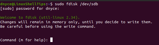 Check Linux Disk Information