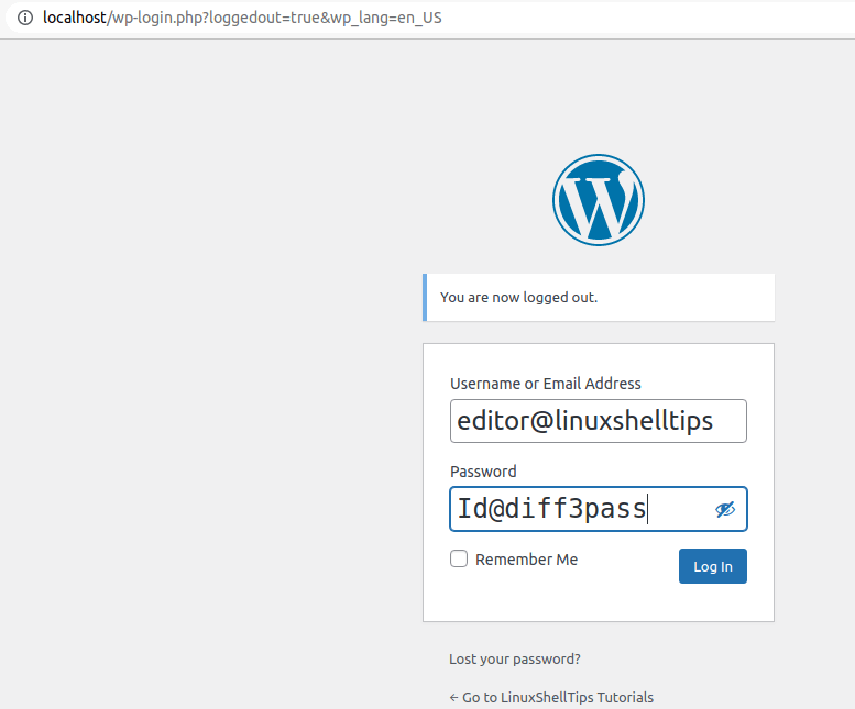 Login to WordPress Admin with New Password