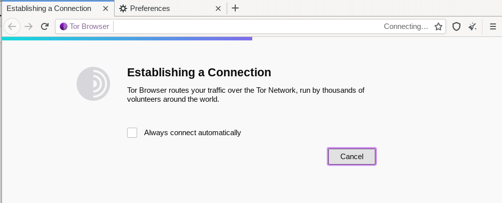 Tor Network Direct Connection