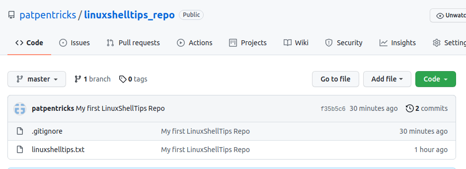 Check File in Github Repo