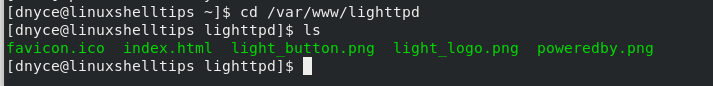 Lighttpd DocumentRoot Directory