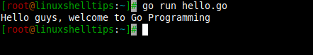 Run Go Program