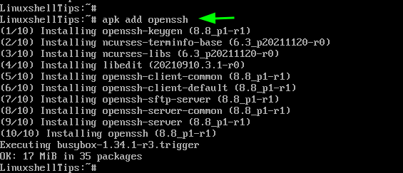 Install OpenSSH Package in Alpine Linux