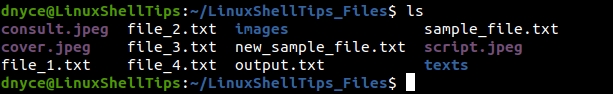 List Files in Linux