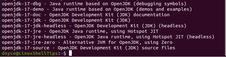 Search OpenJDK Package in Ubuntu