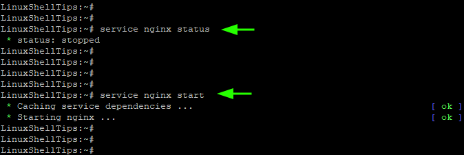 Start Nginx in Alpine Linux