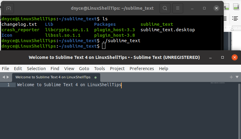 Start Sublime Text Editor
