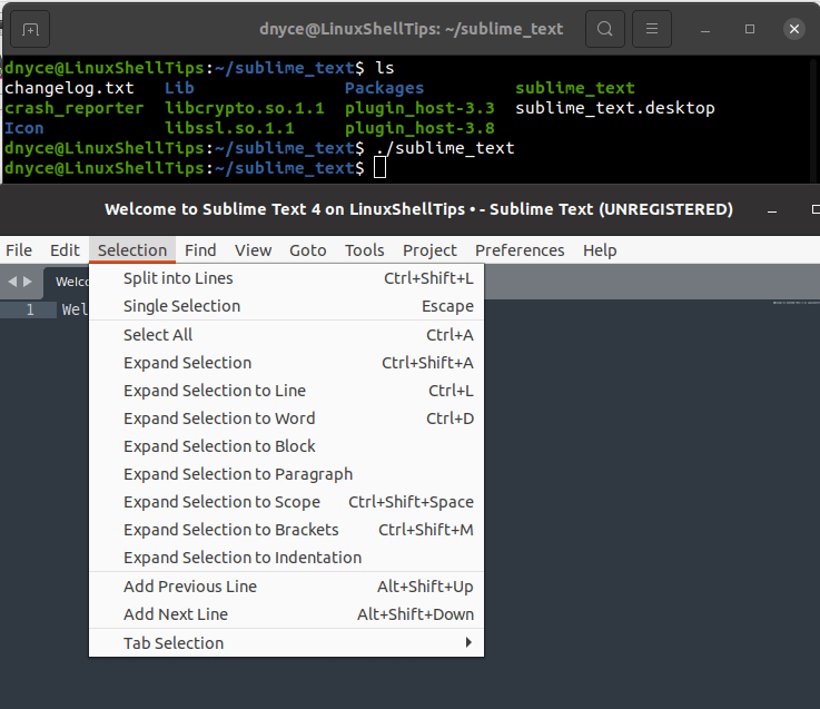 Sublime Text Selection Tab