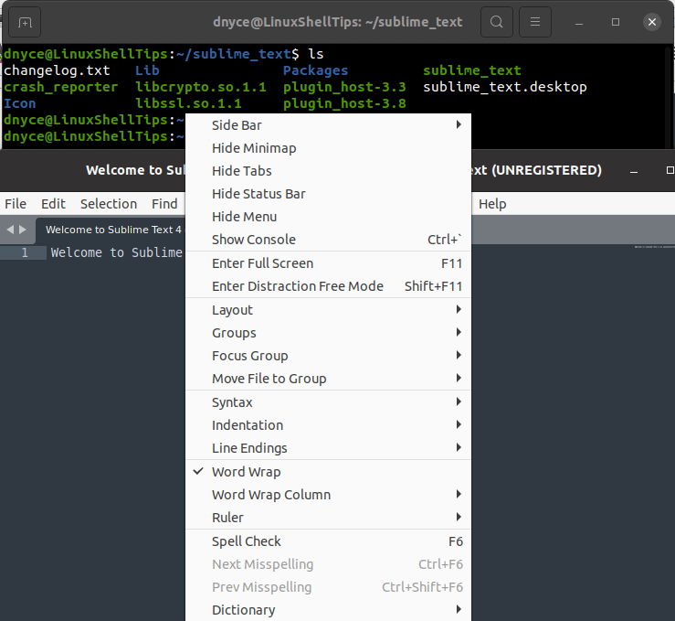 Sublime Text View Tab