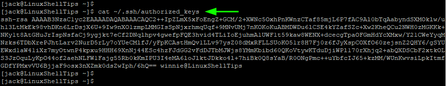 View SSH Authorized Keys