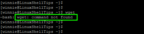 Wget Command Not Found