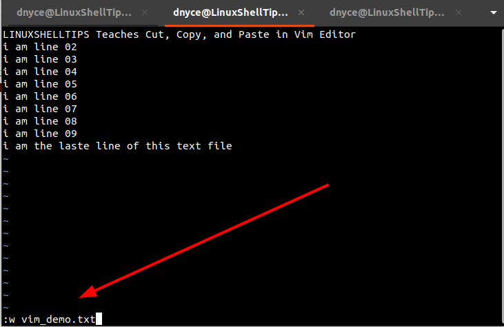 Save File in Vim Editor