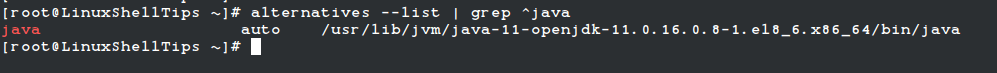 Elenca la posizione di installazione di Java