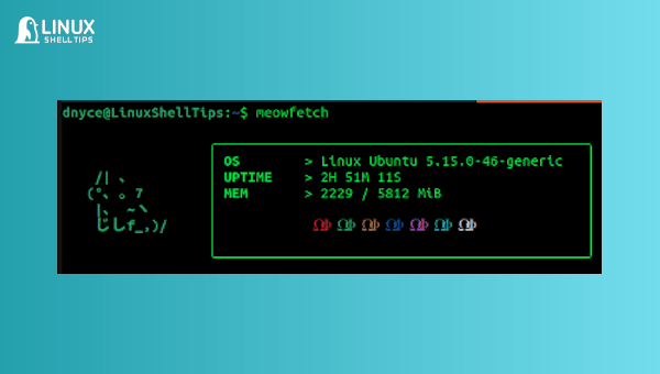 Meowfetch – Linux System Information Tool