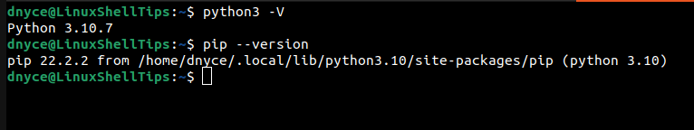 Check Python and PIP Versions