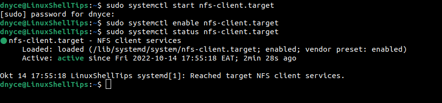 Check NFS Client Status