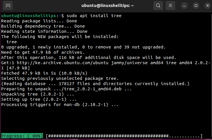 APT Install Package in Ubuntu