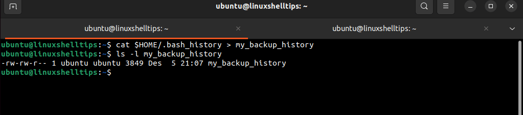 Backup Linux Terminal History