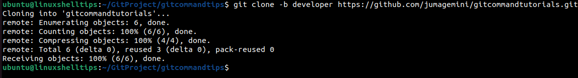 Cloning a Specific Git Repository