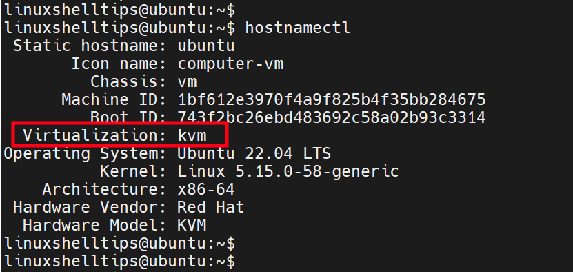 Check Virtualization Type in Linux
